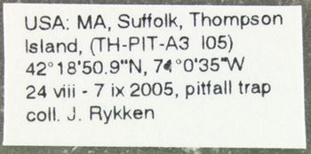Media type: image;   Entomology 614223 Aspect: labels